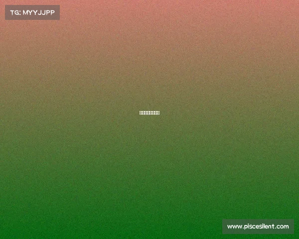 乐宇信息科技公司